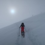 Der Sonne entgegen. Der Sonne entgegen.