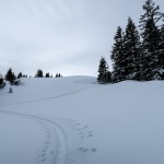 Skitour Selispitz Glaubenberg – Rauf gehts